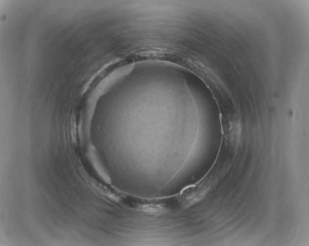 X0000084530508200702231204