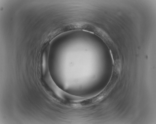 X0000084530509200702231204