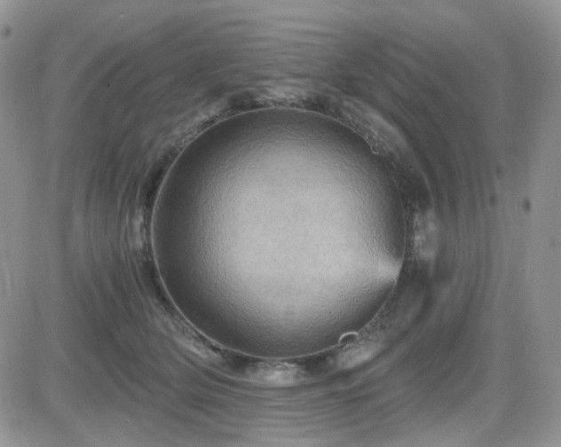 X0000084530514200702231204