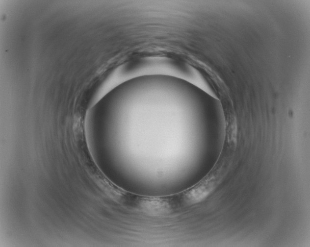 X0000084530521200702231204