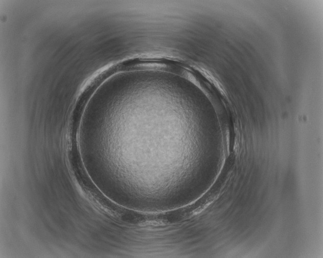 X0000084530536200702231203