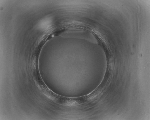 X0000084530547200702231204
