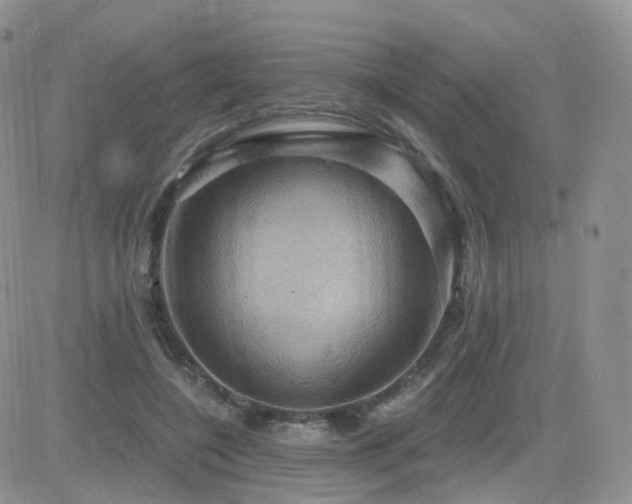 X0000084530548200702231204
