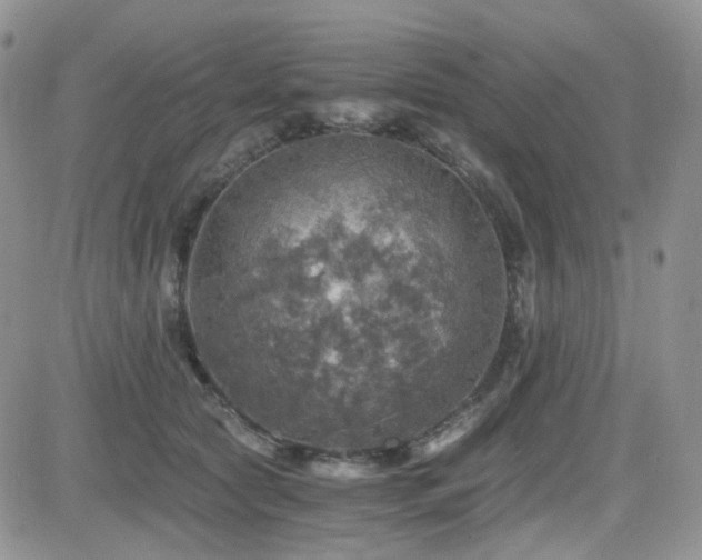 X0000084530561200702231204