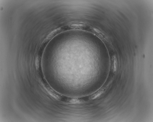X0000084530562200702231204