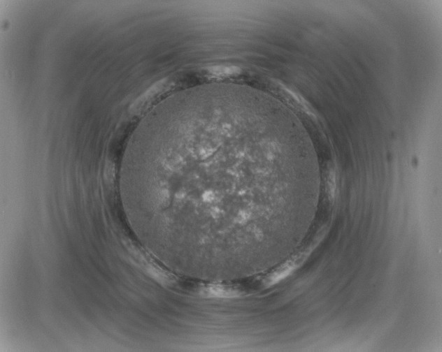 X0000084530565200702231204