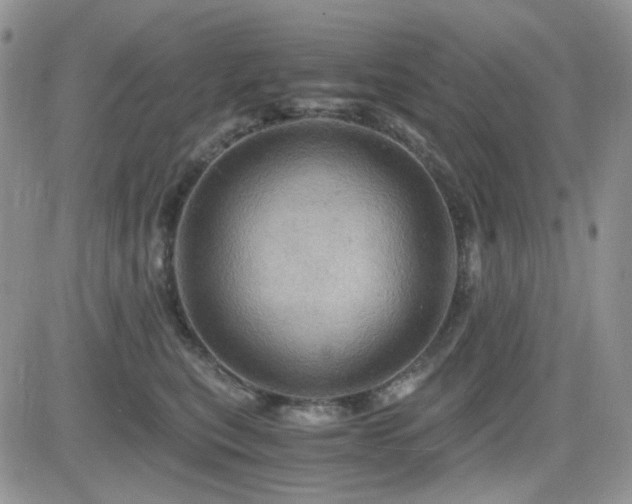 X0000084530567200702231204