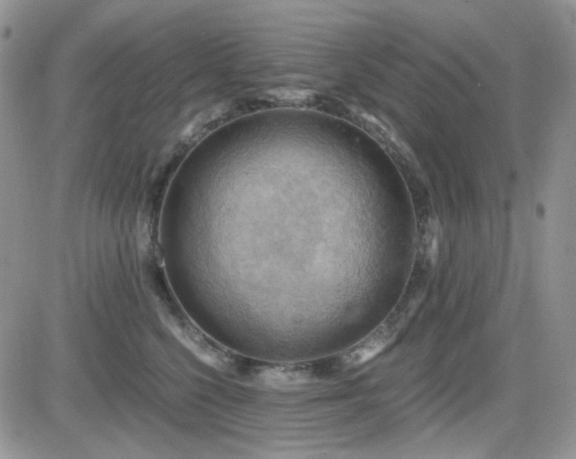 X0000084530568200702231204