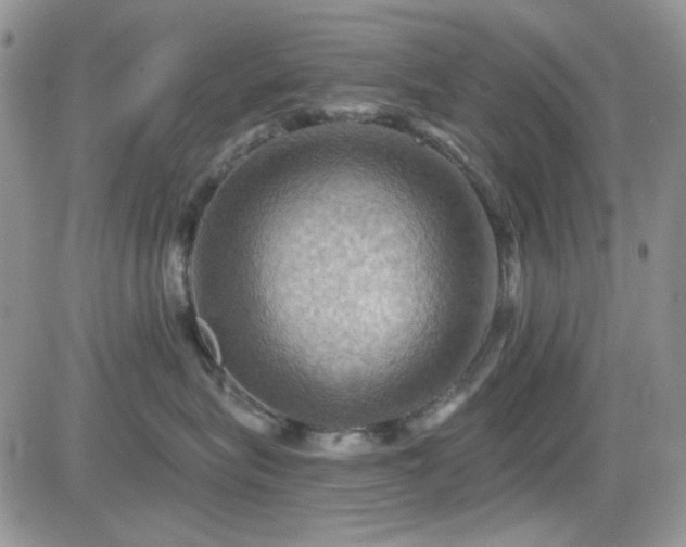 X0000084530575200702231204