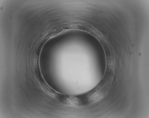 X0000084530603200702231203