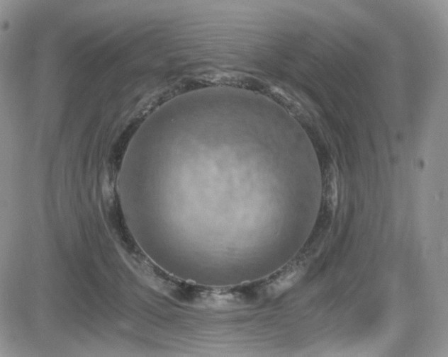 X0000084530607200702231203