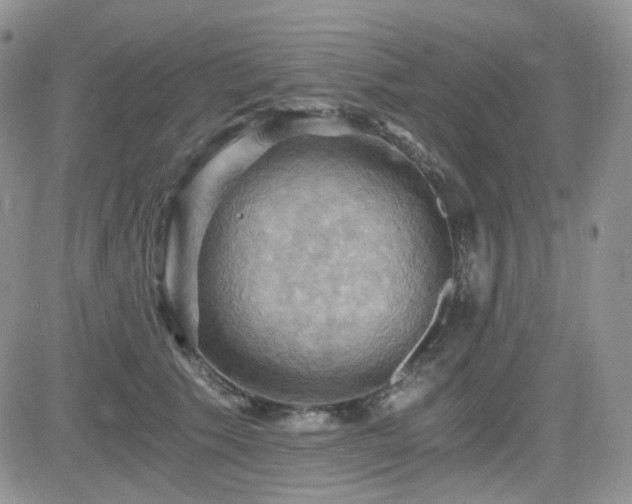 X0000084530609200702231203