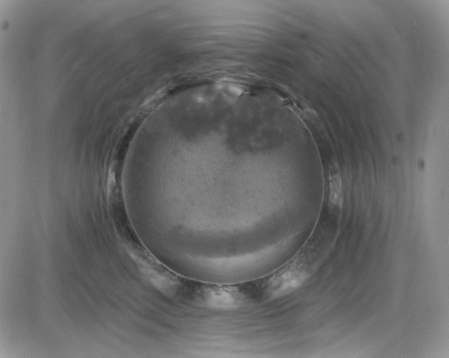 X0000084530618200702231202