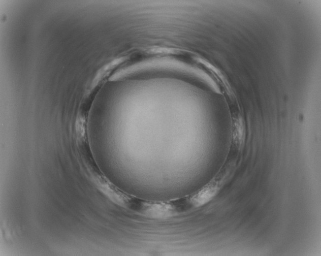 X0000084530621200702231202