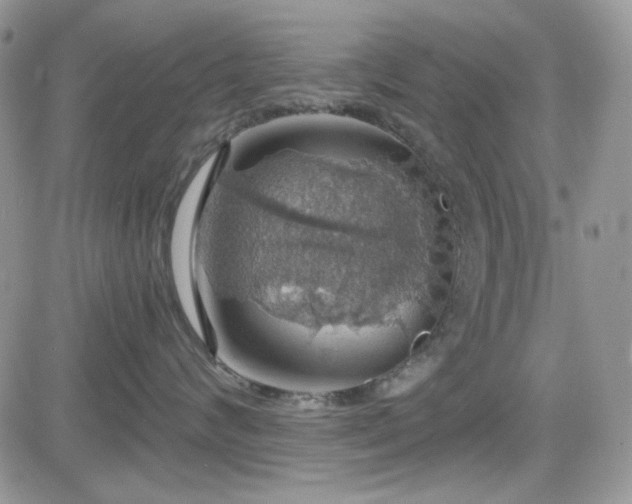 X0000084530624200702231202