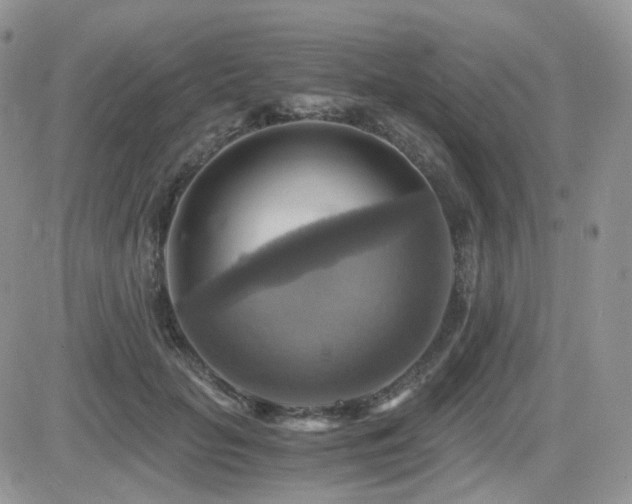 X0000084530653200702231202