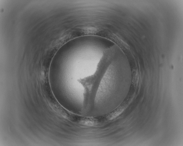X0000084530655200702231202
