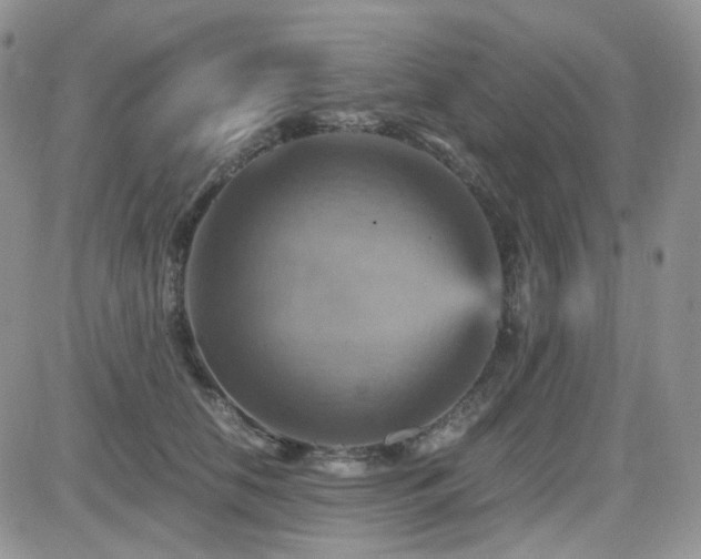 X0000084530658200702231202