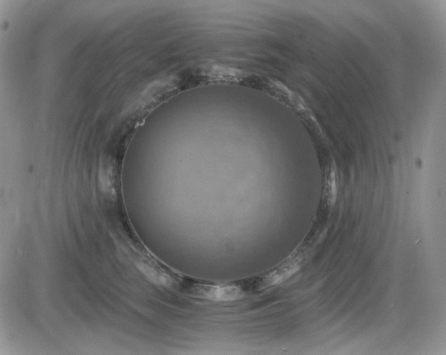X0000084530663200702231202