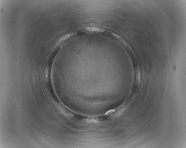 X0000084530668200702231202