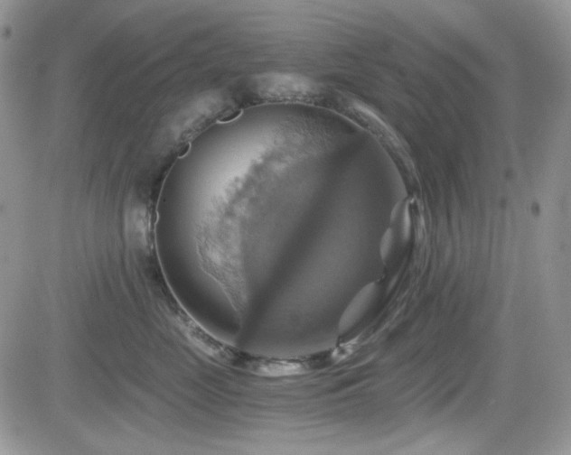 X0000084530669200702231202