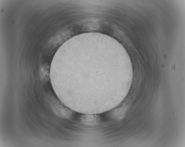 X0000084530672200702231202