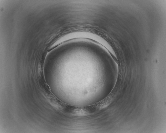 X0000084530704200702231201