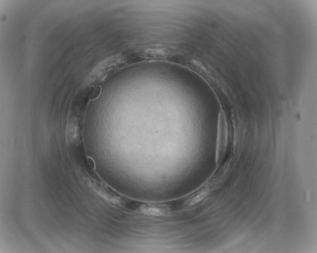 X0000084530706200702231201