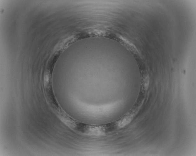 X0000084530709200702231201