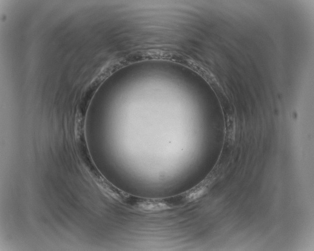 X0000084530712200702231201