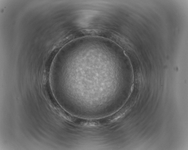X0000084530751200702231200