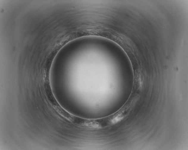 X0000084530752200702231200