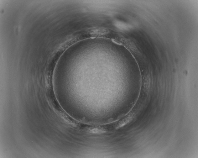 X0000084530755200702231200