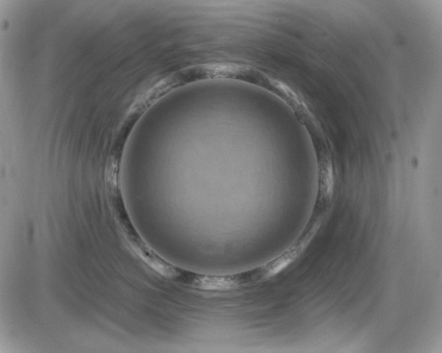 X0000084530766200702231200