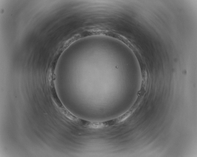 X0000084530767200702231200