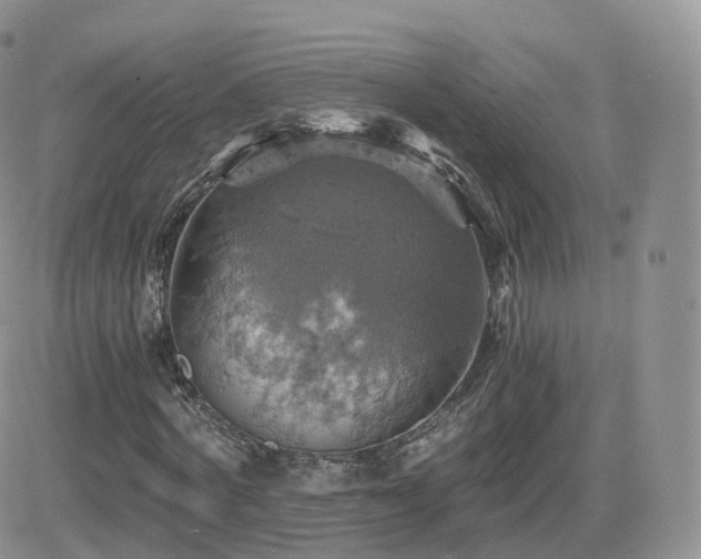 X0000084530772200702231159