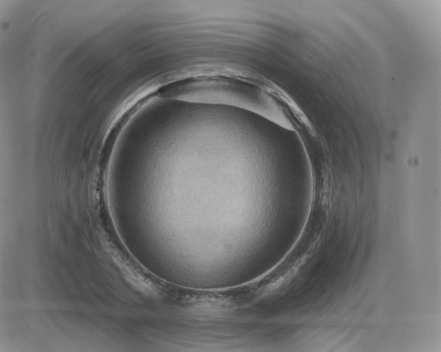 X0000084530786200702231159