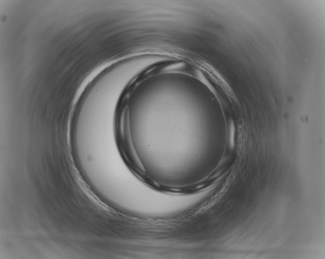 X0000084530788200702231159
