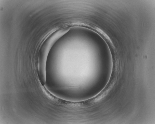 X0000084530801200702231159