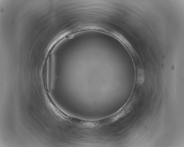 X0000084530806200702231159