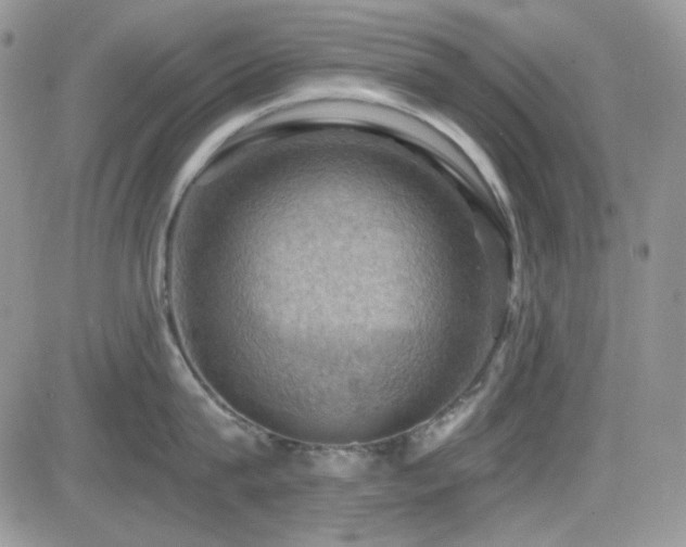X0000084530815200702231159
