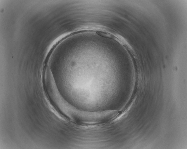 X0000084530846200702231158