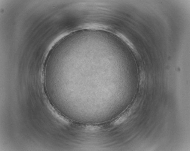 X0000084530848200702231158