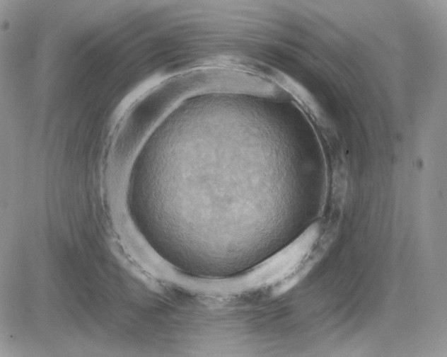 X0000084530854200702231158