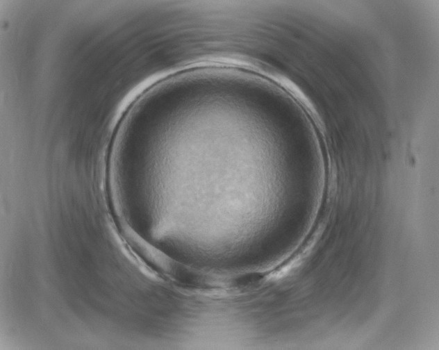 X0000084530862200702231159