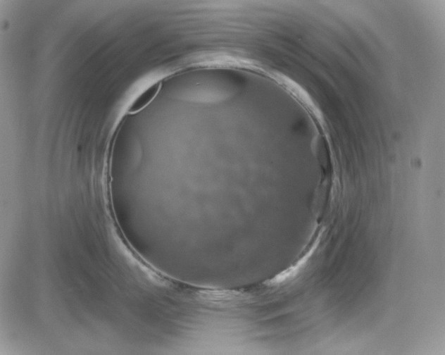 X0000084530863200702231159