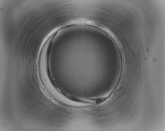 X0000084530864200702231159