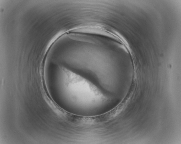 X0000084530907200702231157