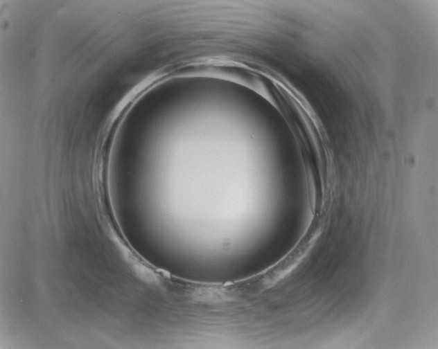 X0000084530909200702231157