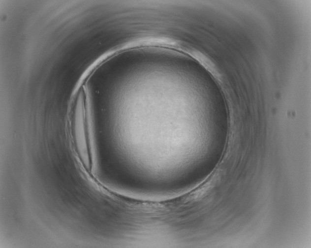X0000084530912200702231157